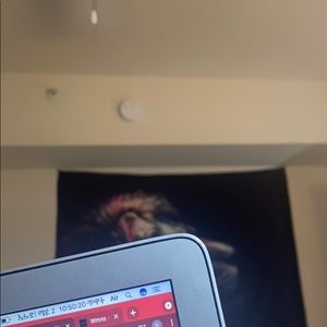 Meet your Posher, Ruth